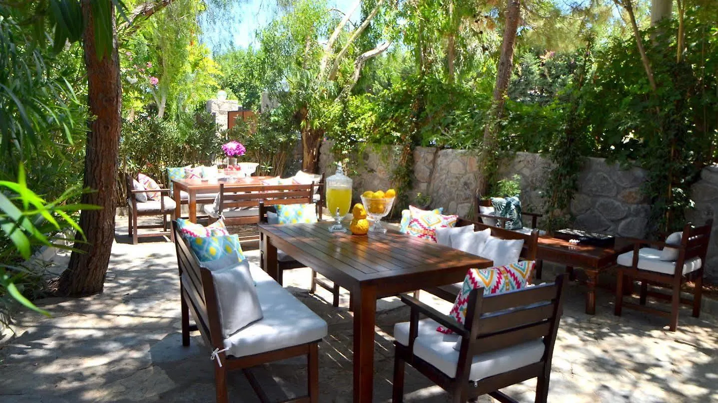 Lemon Garden Tuerkbuekue B&B